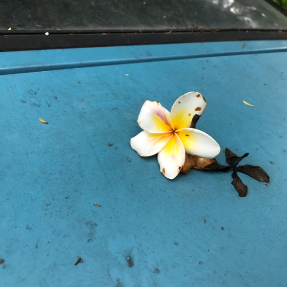 Profile image for Maxine Mae A. Abrogar