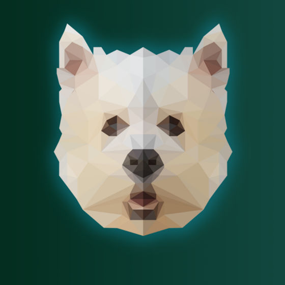 Profile image for Dobroiu Alex